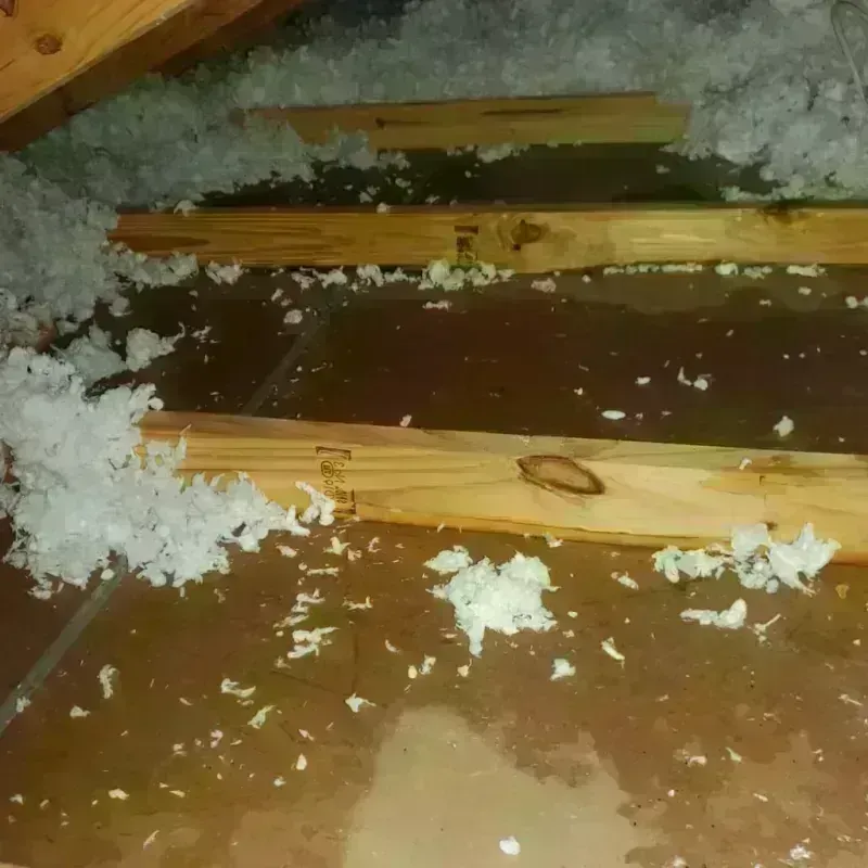 Attic Water Damage in Poplarville, MS