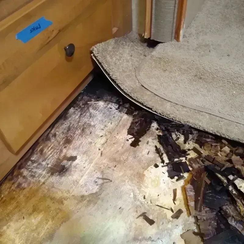 Best Wood Floor Water Damage Service in Poplarville, MS